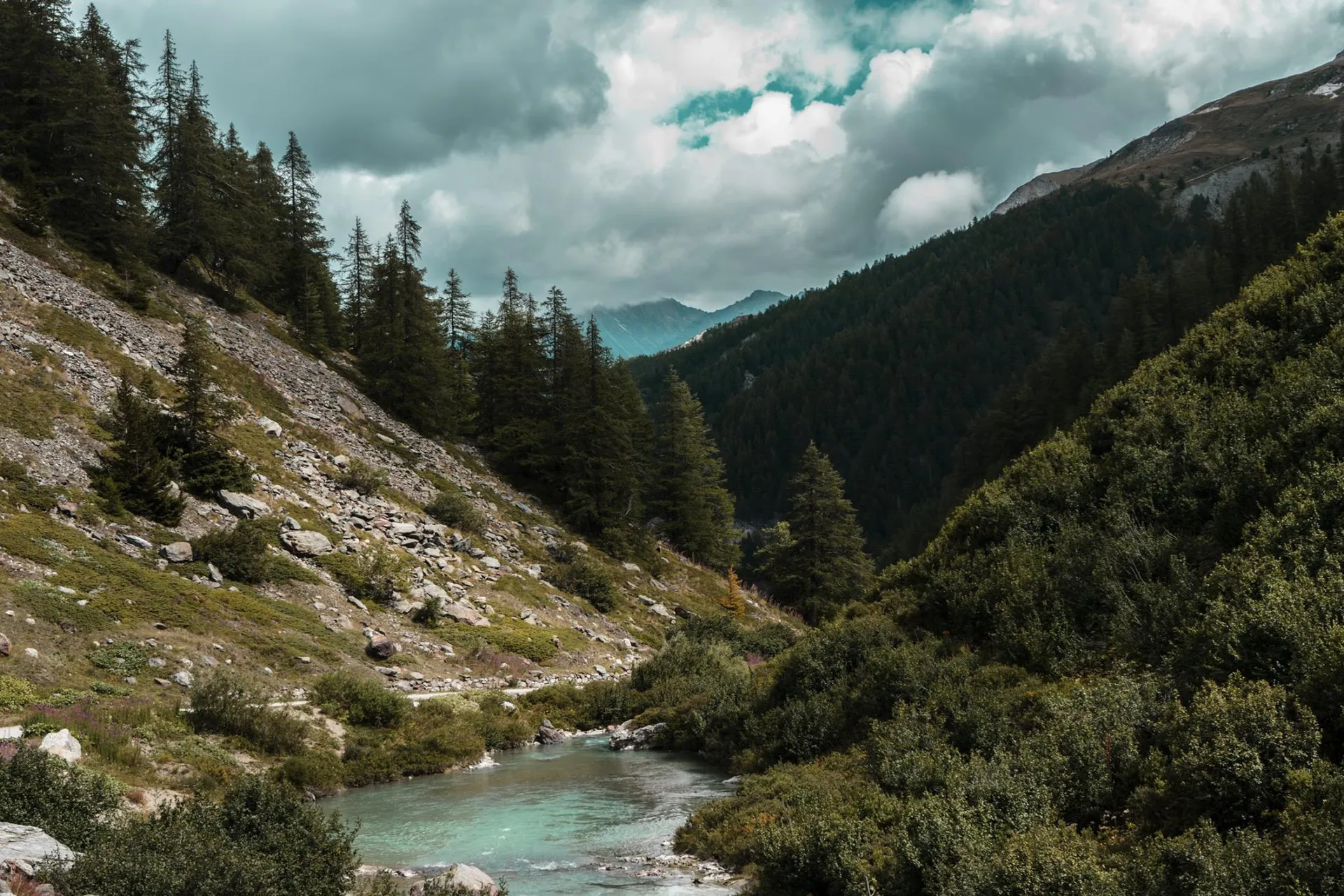 42118521 166220670926010 2821254636810272768 N