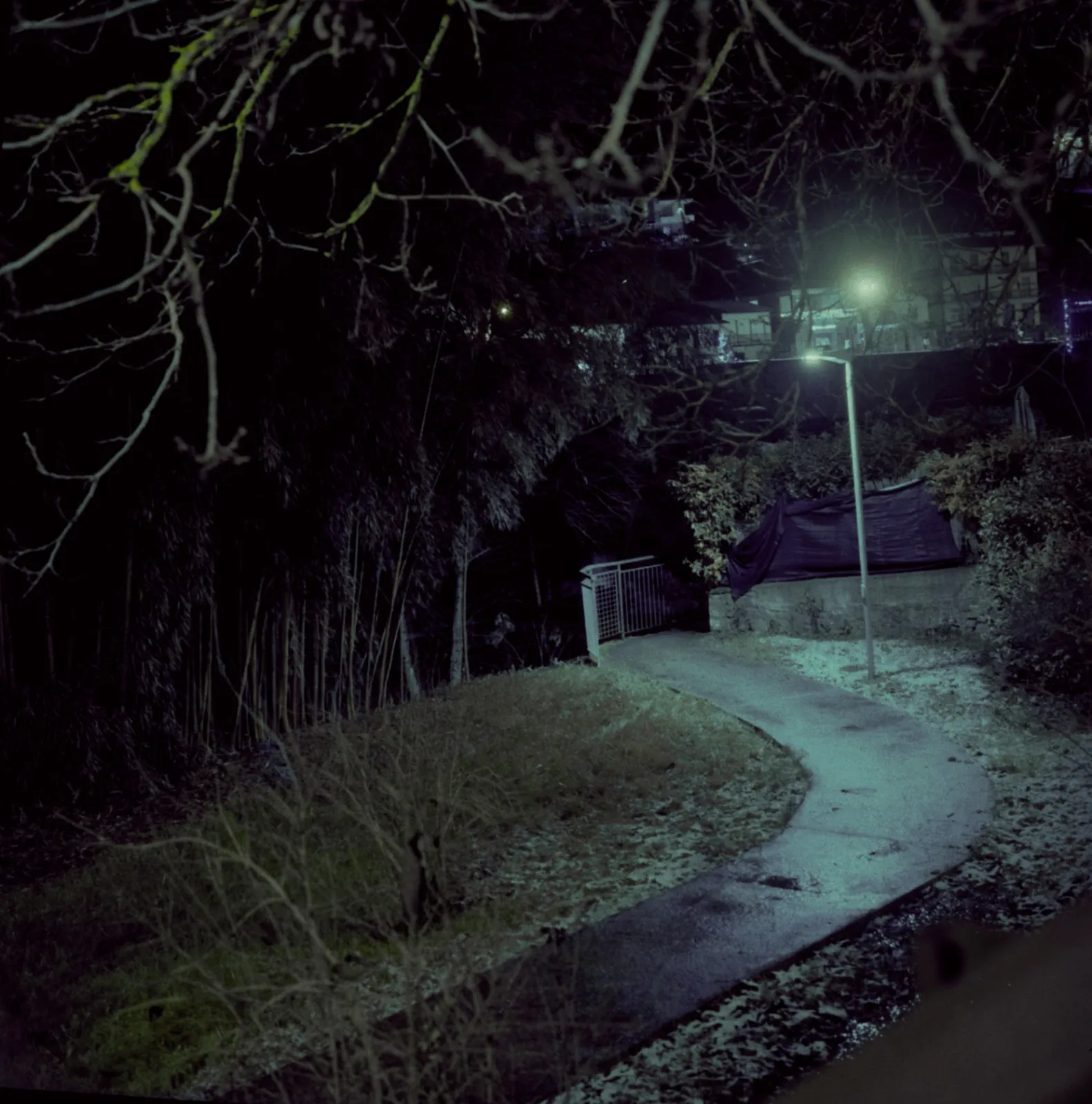 Cinestill 800t  Sambuca Val Di Pesa E San Donato In Poggio 003