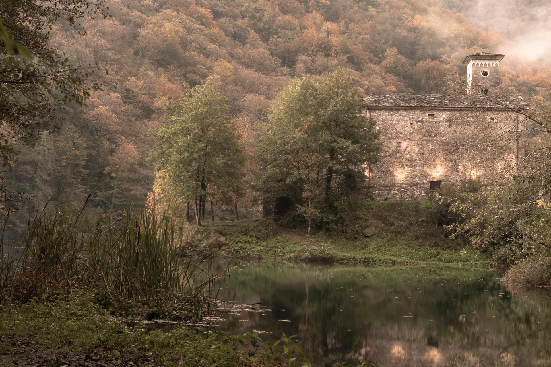  DSC5356.Jpghiesa  Palustre