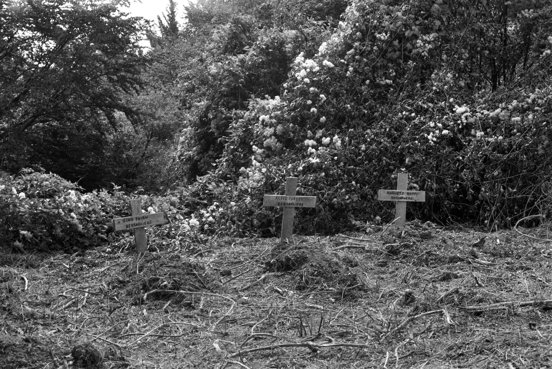 Linea Gotica Olympus 27 Agosto 23 034