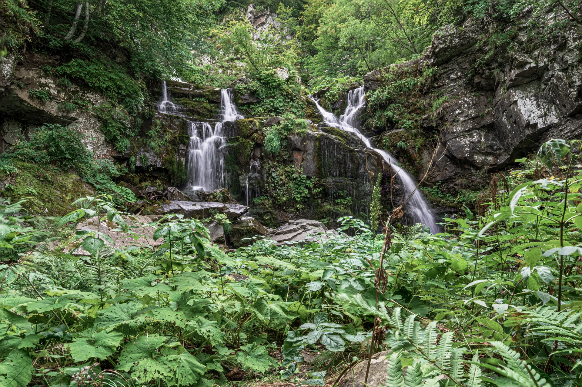 StacSC 2594.NEF   Copia