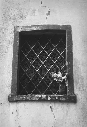 lomocrhome babylon 13  135mm 4